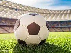 齐鲁英才扬,帆湾区,共逐梦想海,万博体育平台,万博体育官方网站,万博体育登录入口,万博体育app下载