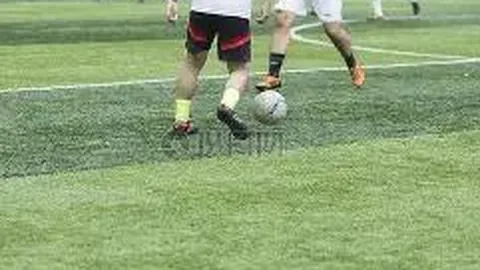 万博体育 资讯 091229 pms