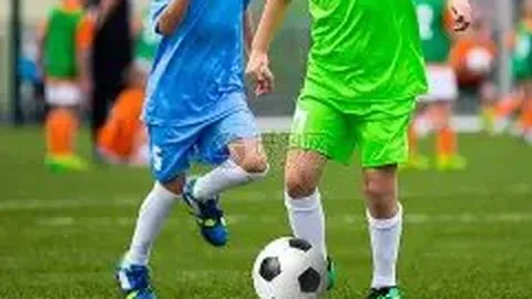 11月24日中国体彩开奖信息发布