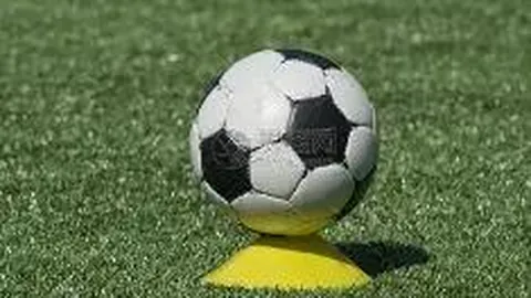 万博体育 产品 084346 lvq