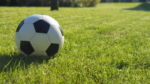 万博体育 产品 084423 gfa